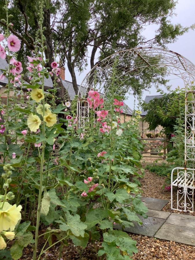 Hollyhock Cottage, Clematis Cottages, Stamford Exteriér fotografie