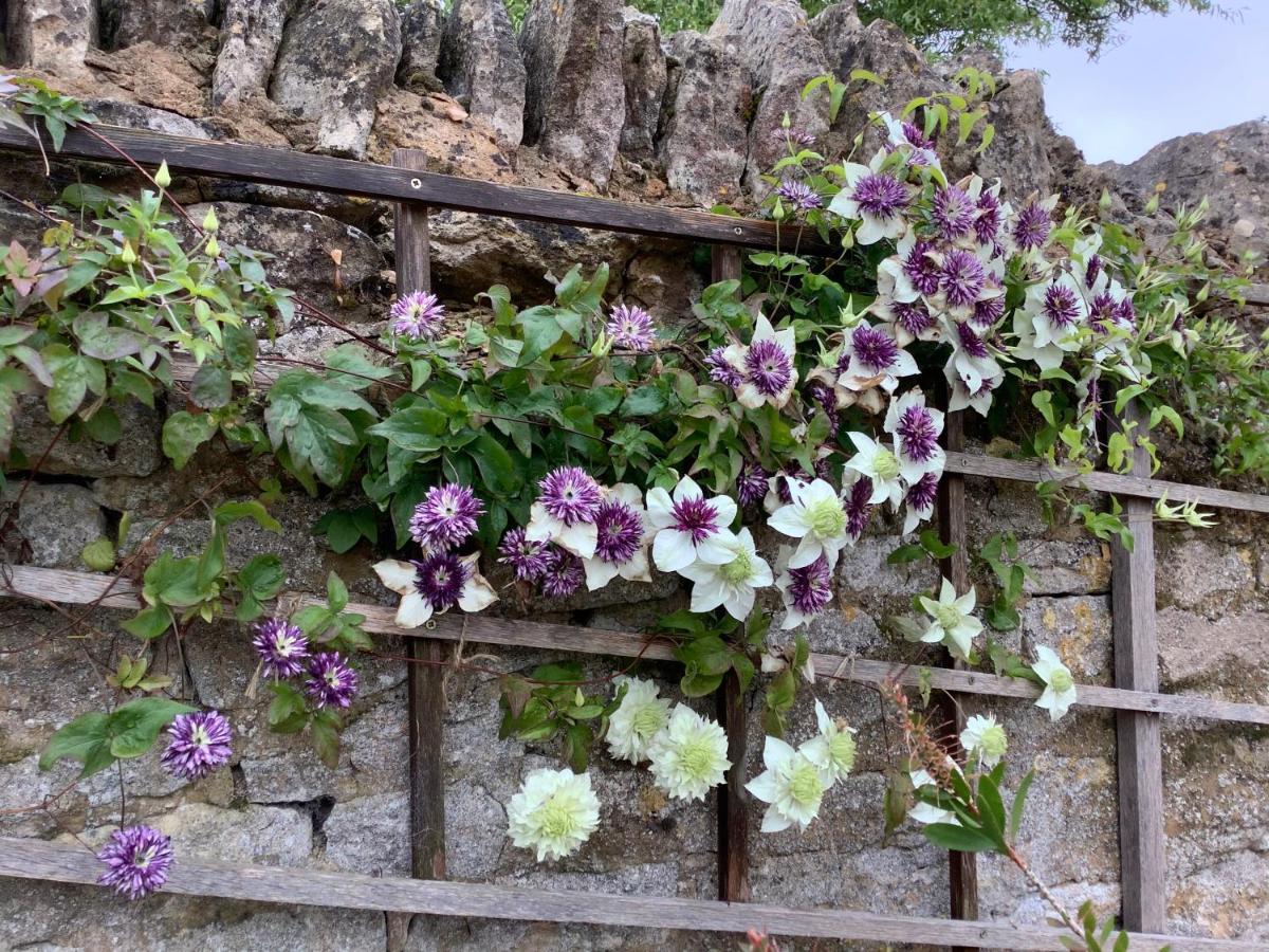 Hollyhock Cottage, Clematis Cottages, Stamford Exteriér fotografie